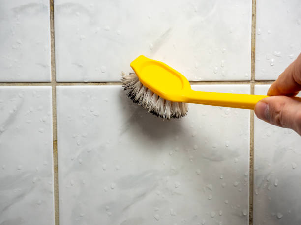 Best Attic Mold Removal  in Pine Bluffs, WY